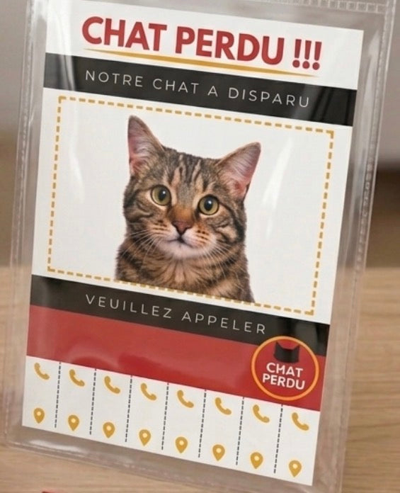 Kit d'Affiches "Chat Perdu" Personnalisable – Pack Complet d'Urgence