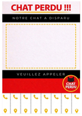 Urgence "Chat Perdu" – affiche Complet (PDF à Télécharger)