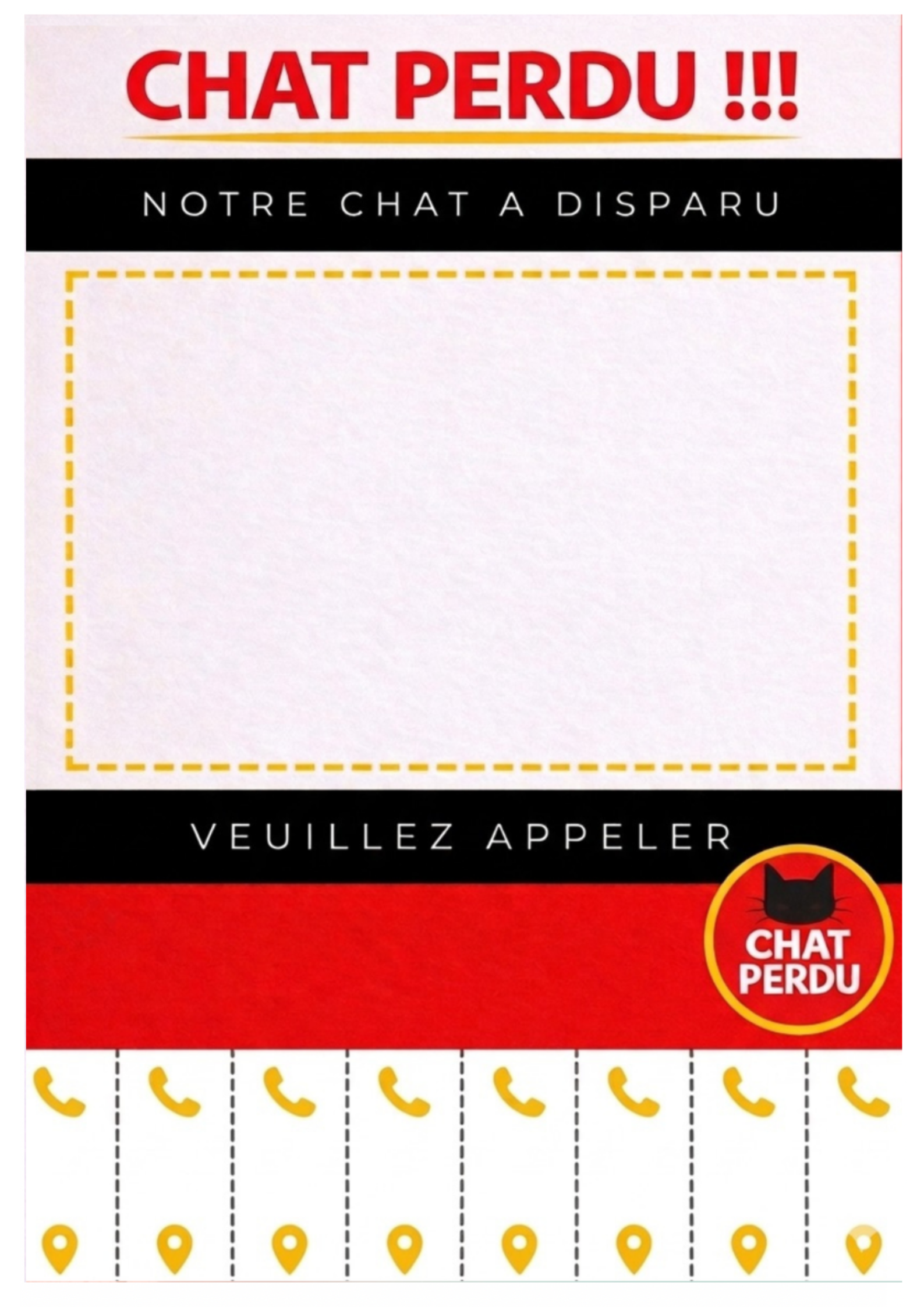 Urgence "Chat Perdu" – affiche Complet (PDF à Télécharger)