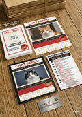 Kit d'Affiches "Chat Perdu" Personnalisable – Pack Complet d'Urgence